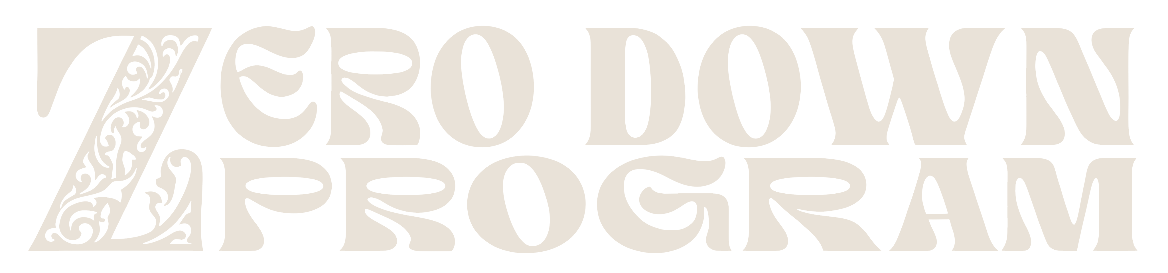 Zero Down Program
